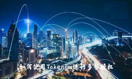如何使用Tokenim进行多签授权