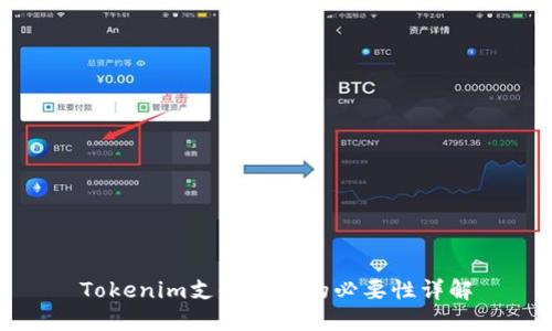 Tokenim支付密码的必要性详解