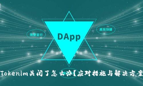 Tokenim关闭了怎么办？应对措施与解决方案