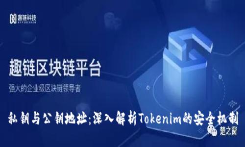 私钥与公钥地址：深入解析Tokenim的安全机制