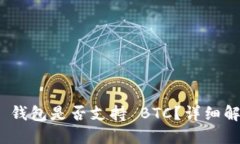 Tokenim 2.0 钱包是否支持 