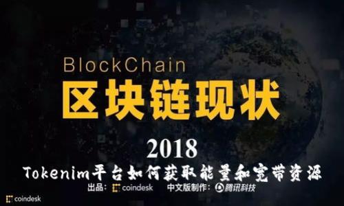 Tokenim平台如何获取能量和宽带资源