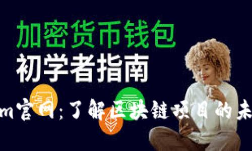 Tokenim官网：了解区块链项目的未来价值