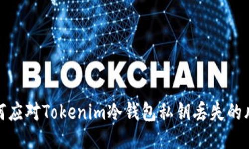如何应对Tokenim冷钱包私钥丢失的风险