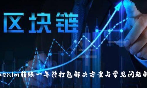 Tokenim转账一年待打包解决方案与常见问题解析