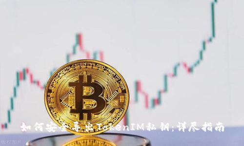 如何安全导出TokenIM私钥：详尽指南