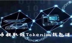 如何将Fils币提取到Tokeni