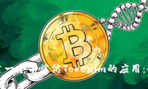 如何构建一个前端仿Tokenim的应用：全面指南