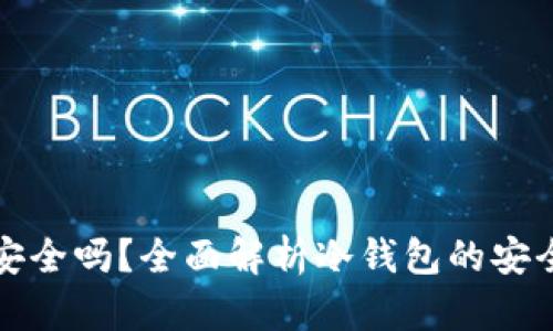 中国的冷钱包安全吗？全面解析冷钱包的安全性及使用建议