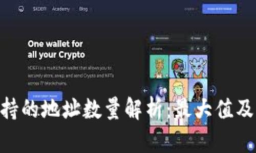 Tokenim支持的地址数量解析：最大值及其应用场景