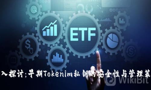 深入探讨：早期Tokenim私钥的安全性与管理策略