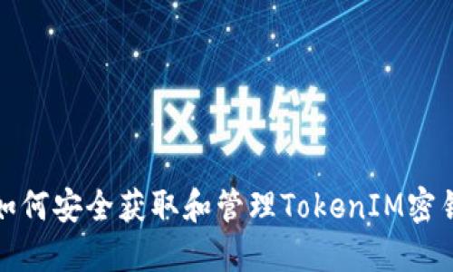 如何安全获取和管理TokenIM密钥