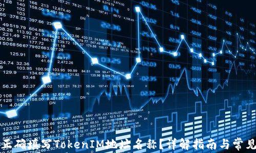 
如何正确填写TokenIM地址名称？详解指南与常见问题