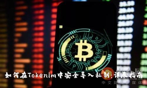 如何在Tokenim中安全导入私钥：详尽指南