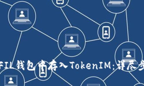 如何在FIL钱包中存入TokenIM：详尽步骤指南