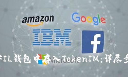 如何在FIL钱包中存入TokenIM：详尽步骤指南