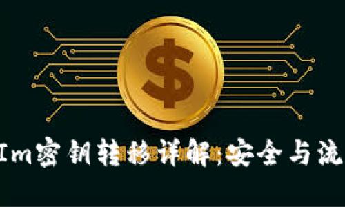 TokenIm密钥转移详解：安全与流程指南