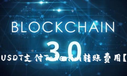 : 如何使用USDT支付Tokenim转账费用？详解与技巧