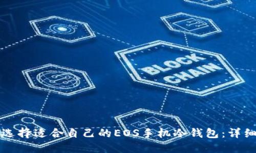 如何选择适合自己的EOS手机冷钱包：详细指南