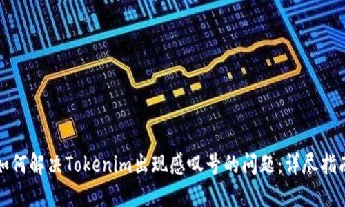 如何解决Tokenim出现感叹号的问题：详尽指南