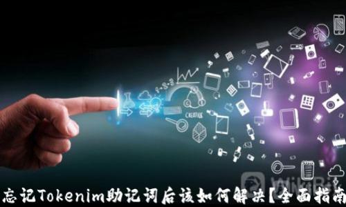
忘记Tokenim助记词后该如何解决？全面指南
