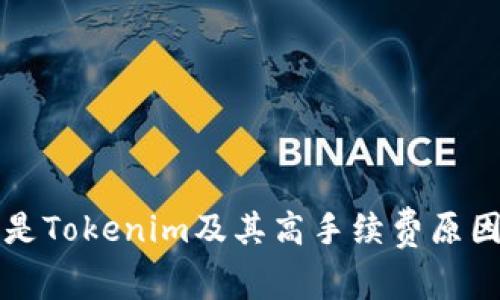 什么是Tokenim及其高手续费原因解析