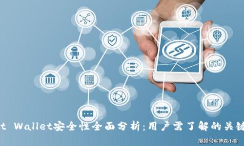 Trust Wallet安全性全面分析：用户需了解的关键要素