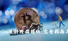 如何使用Tokenim进行跨国转