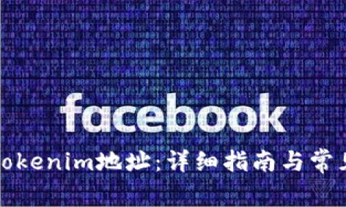 如何设置Tokenim地址：详细指南与常见问题解答