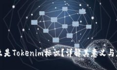 什么是Tokenim标识？详解其