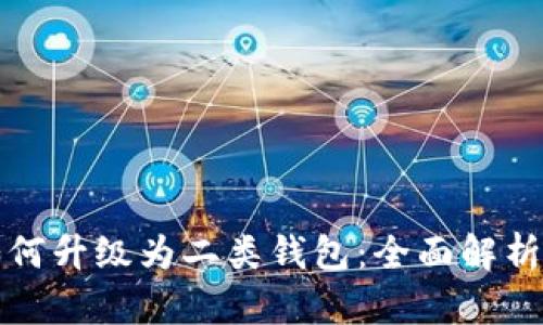 数字钱包如何升级为二类钱包：全面解析及实用指南
