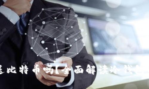 冷钱包能发送比特币吗？全面解读冷钱包的功能与特点