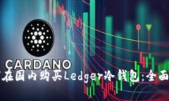 如何在国内购买Ledger冷钱
