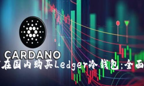 如何在国内购买Ledger冷钱包：全面指南