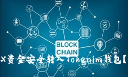 如何将OKEX资金安全转入Tokenim钱包？全流程指南