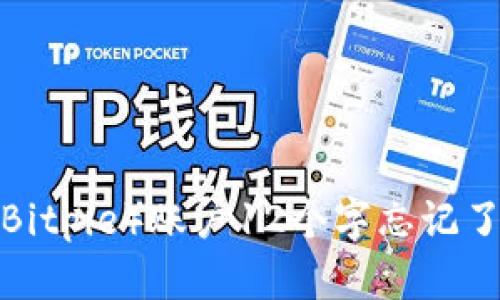比特派（Bitpie）账户12个字忘记了怎么办？