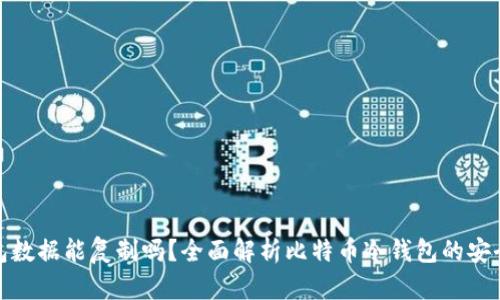 : 比特币冷钱包数据能复制吗？全面解析比特币冷钱包的安全性与数据管理