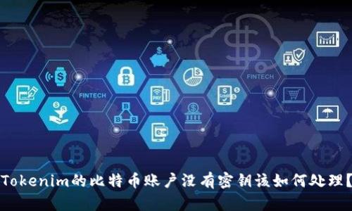 Tokenim的比特币账户没有密钥该如何处理？