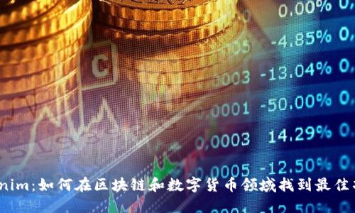 Tokenim：如何在区块链和数字货币领域找到最佳项目？