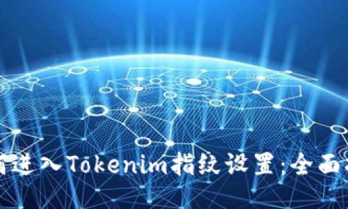 如何进入Tokenim指纹设置：全面指南