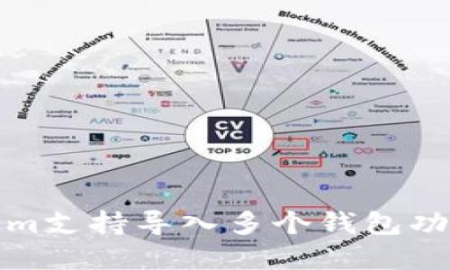 Tokenim支持导入多个钱包功能详解