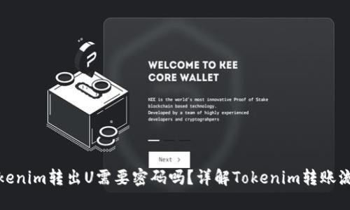 Tokenim转出U需要密码吗？详解Tokenim转账流程