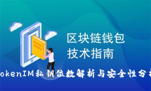 TokenIM私钥位数解析与安全性分析