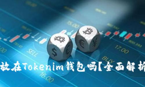 狗狗币可以放在Tokenim钱包吗？全面解析与使用指南