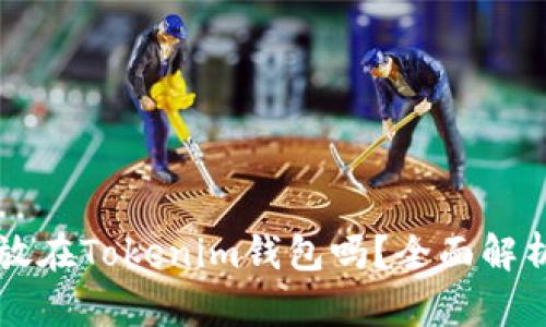 狗狗币可以放在Tokenim钱包吗？全面解析与使用指南