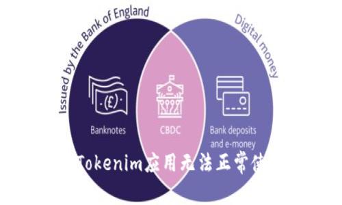 如何解决Tokenim应用无法正常使用的问题
