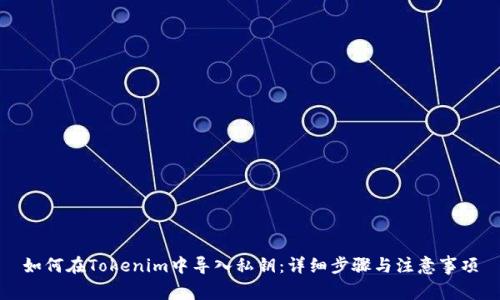 如何在Tokenim中导入私钥：详细步骤与注意事项