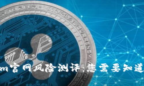 Tokenim官网风险测评：您需要知道的一切