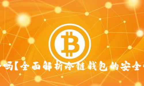 冷链钱包安全吗？全面解析冷链钱包的安全性与使用建议