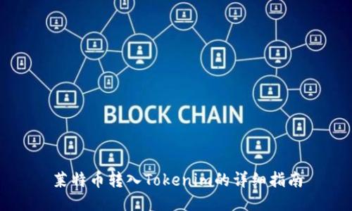 莱特币转入Tokenim的详细指南